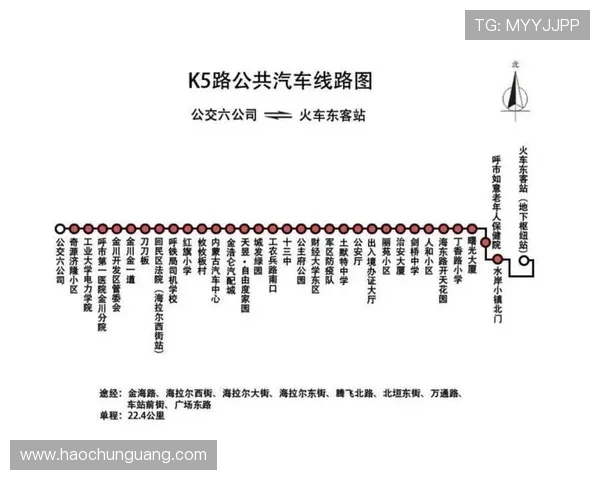 壹号网址登录线路优化方案，提升访问速度和稳定性的方法解析